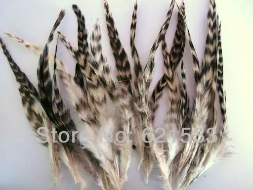 100Pcs/Lot 4-6 Natural Grey Grizzly Chinchilla saddle Feathers,Chinchilla  Hackle Feathers with Black/brown Tone - AliExpress