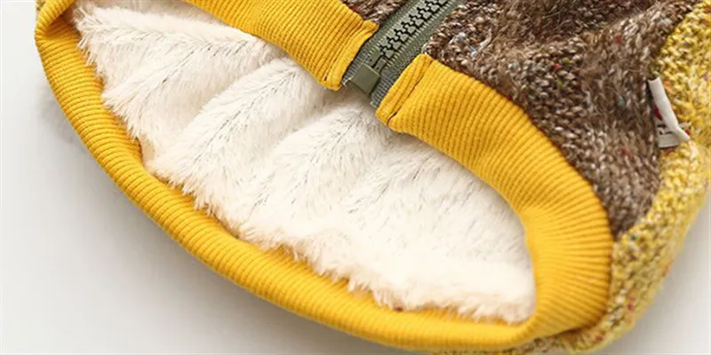 dog winter clothes (5)