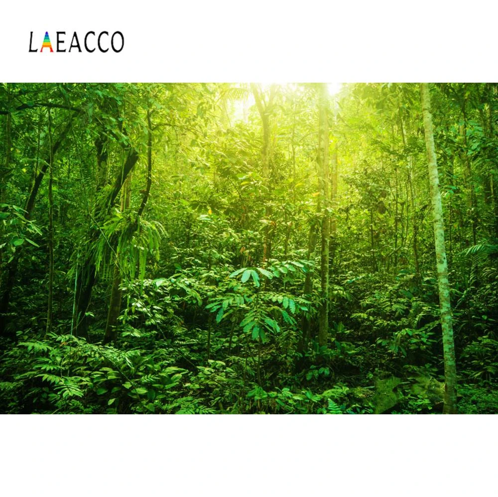 Laeacco 森熱帯ジャングル雨緑の木低木壁紙自然シーン写真の背景写真撮影の背景写真スタジオ Background Aliexpress