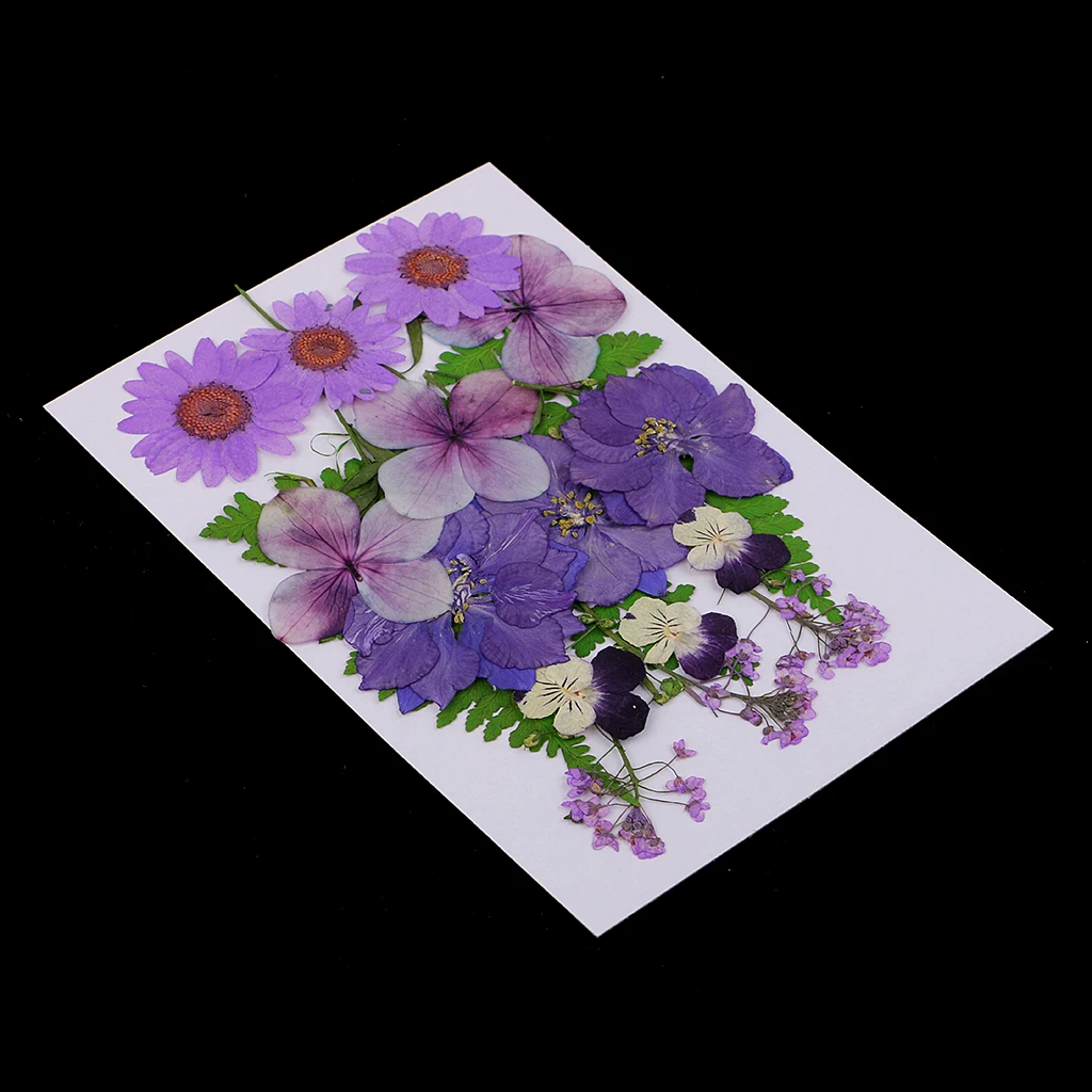 Multiple Mix Natural Pressed Dried Flowers Leaves Artificial Decorations for Greeting Card Making DIY Art Craft  2.5-3.5cm