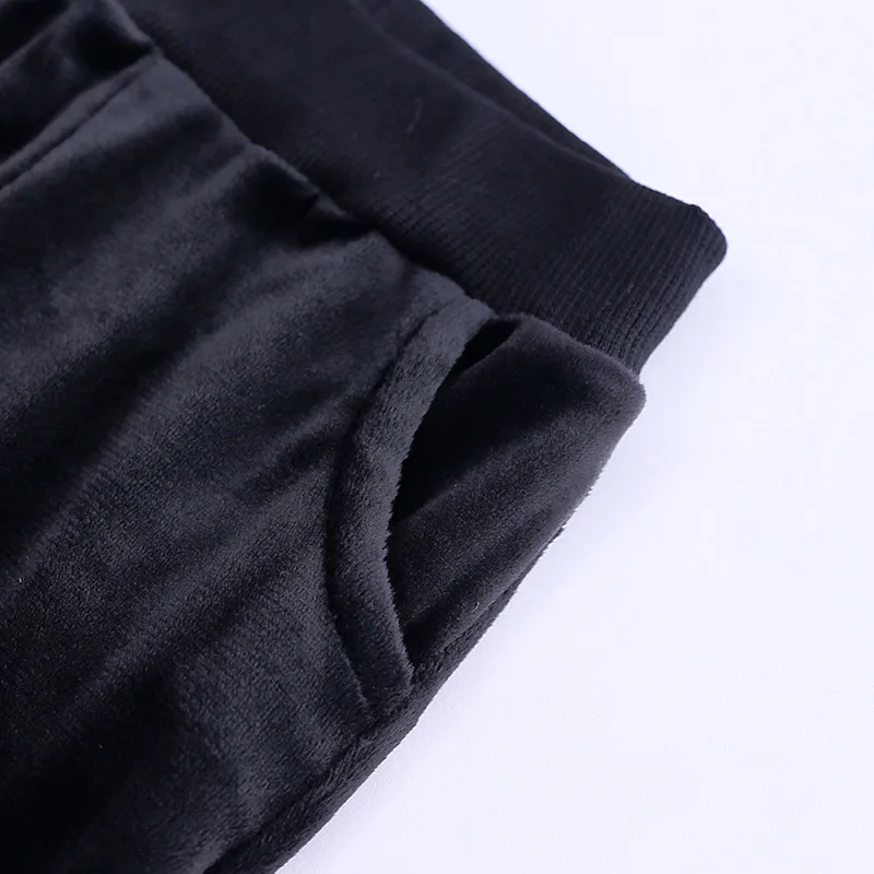 Autumn Girls Boys Clothing Sets Winter Children Fashion Hooded Sweatshirt Coats And Pants Suit Velvet Tracksuit Kids Clothes Set (3)