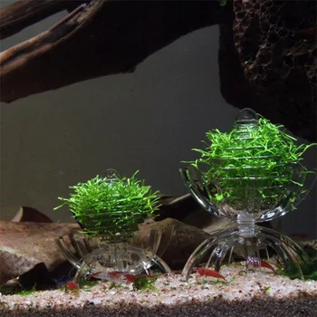

Automatic Feeder Aquarium Multi-functional Shrimp Feeding Cage Auto Fish Feeder Home Fish Tank Supplies