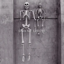 165 см хэллоуинская страшилка реквизиты дом с привидениями номер побега искусственная человеческая модель скелета рамка Гробница-набеги взрослые кости черепа