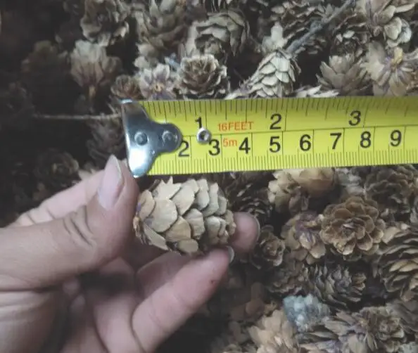 10 pigne con anello, decorazioni per l'albero di Natale, pigne con gancio, decorazioni minimaliste in stile bosco, decorazioni natalizie naturali senza plastica. - Italia