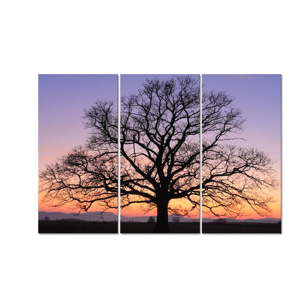 Black Tree Photo Canvas Printing Nature Landscape Canvas Art Prints