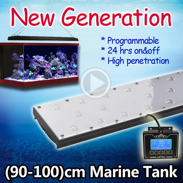 aquariam lights aquariam lights