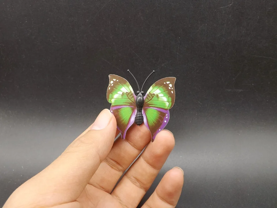 I253-Butterfly (1)