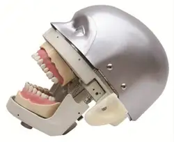 Тренажер для стоматолога Manikin фантомная головка демонстрация практические упражнения