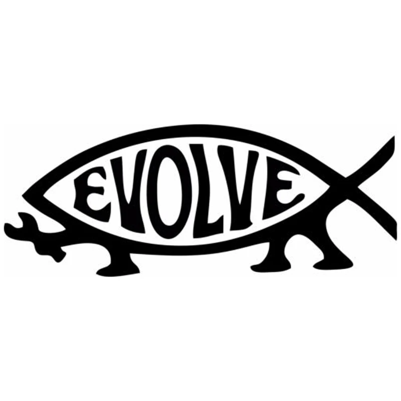 Evolution Fishing Vinyl Decal Decor Sticker