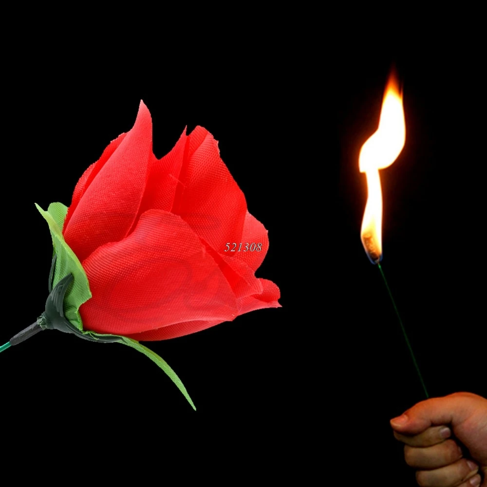 Сцена крупным планом волшебный трюк фонарь Роза к огню трюки пламя появляющийся цветок горячий