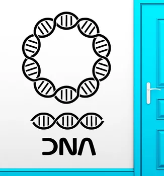 

DNA Wall Stickers Genealogy Biology Chemistry School Science Vinyl Decal