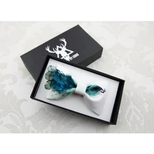 Высокое качество Модный мужской перьевой бант аксессуар бабочка Свадебная вечеринка бизнес полиэстер шелковый галстук-бабочка для мужчин галстук-бабочка