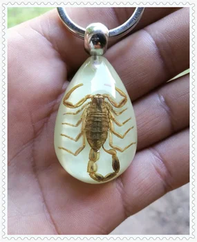 

Motorcycle mountain bike insect keychain personality pendant car for Kia K2 K3 K5 k9 No3 Magentis Borrego Hyundai