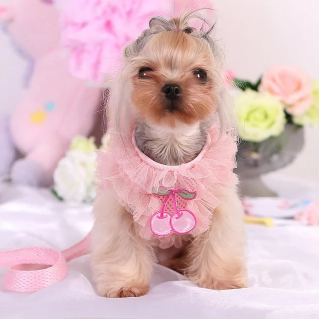2018 Spring/Summer Cute Comfort Lace Cherry Pet Dog/Cat Harness Leash Set Breathable Pet Harness for Small Dog Pet Pink Purple