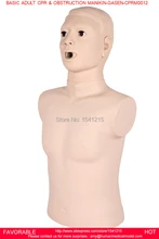 FIRST AID MANIKIN,ADULT HALF BODY CPR TRAINING MANIKIN,MEDICAL MANIKINS BASIC ADULT CPR & OBSTRUCTION MANIKIN -GASEN-CPRM0012