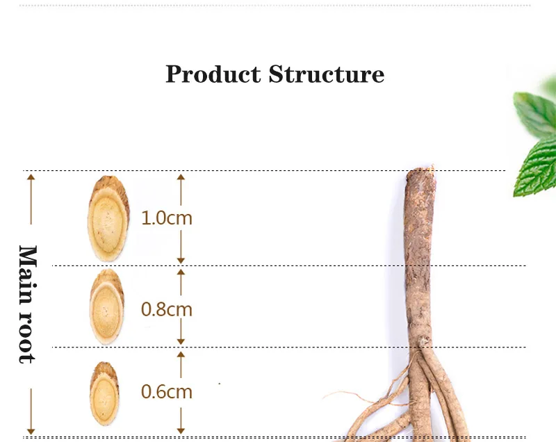 Astragalus Hoangtchy эффективная предотвращение и лечение гастрита язвы желудка освежает и укрепляет Immun тела