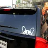 Exterior Accessories