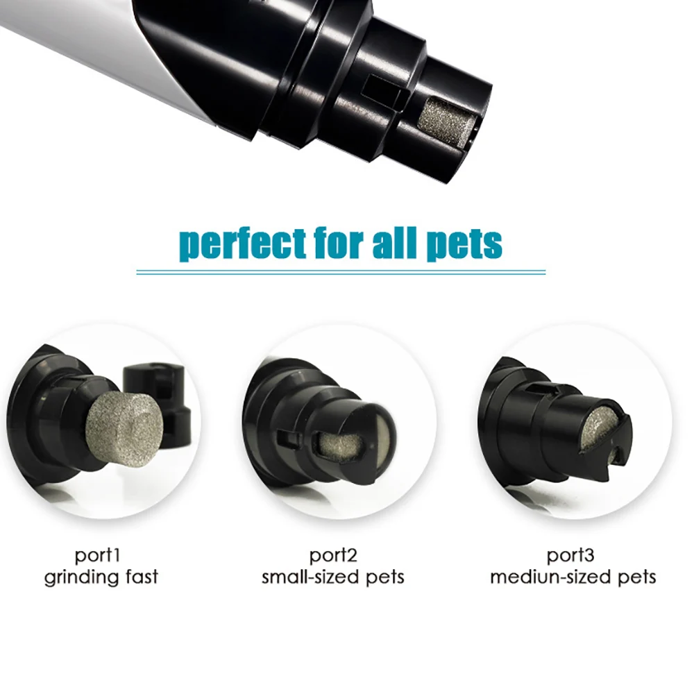 5895878613_934844541