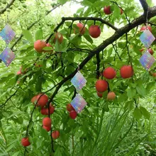 Садовое украшение наружный светоотражающий отражатель в форме бриллианта держит птиц вдали от вашего дома упрочняющее защитное оборудование