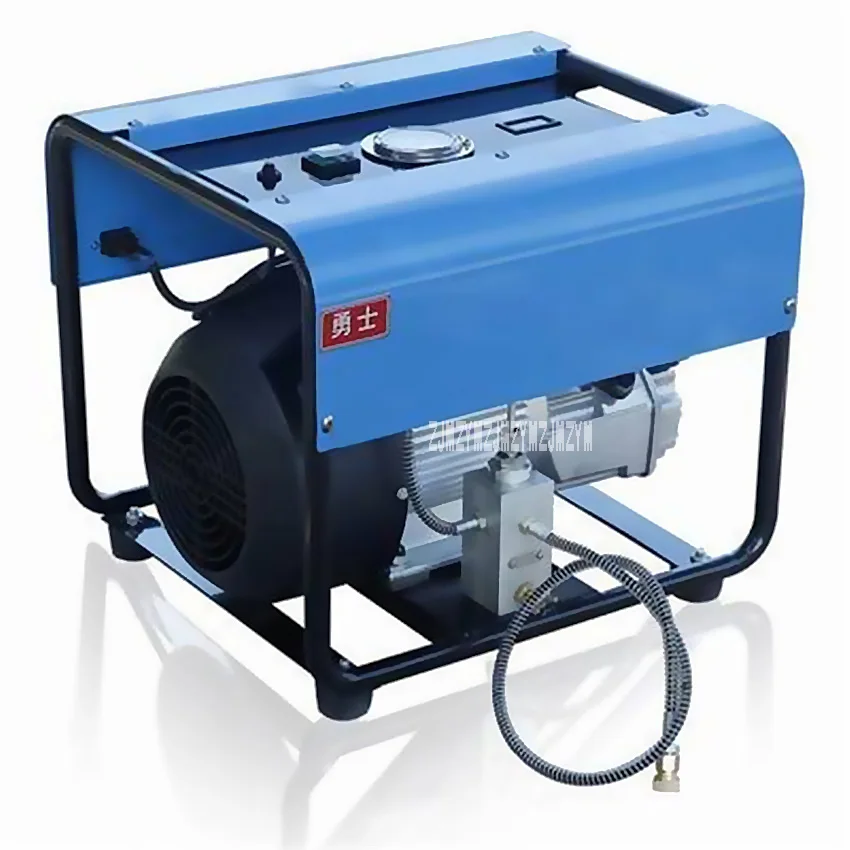 Economic Stainless Steel Electric Pump Double Cylinder 30Mpa Electric