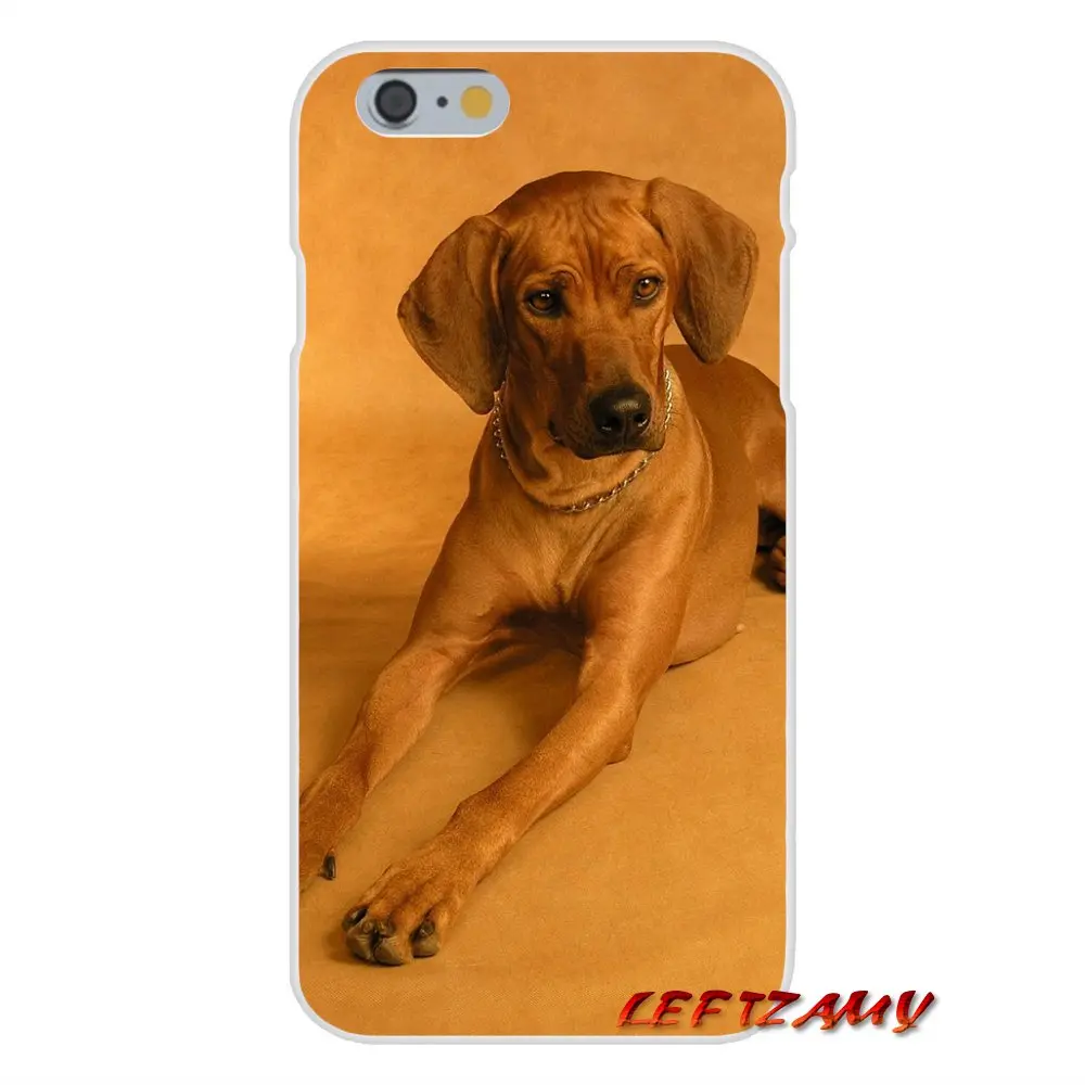 Модные мягкие прозрачные чехлы для iPhone X XR XS MAX 4 4S 5 5S 5C SE 6 6S 7 8 Plus ipod touch
