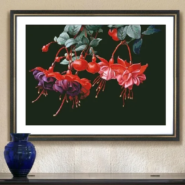 

Embroidery Package High Quality Cross Stitch Kits Fuchsia Magellanica Free Shipping