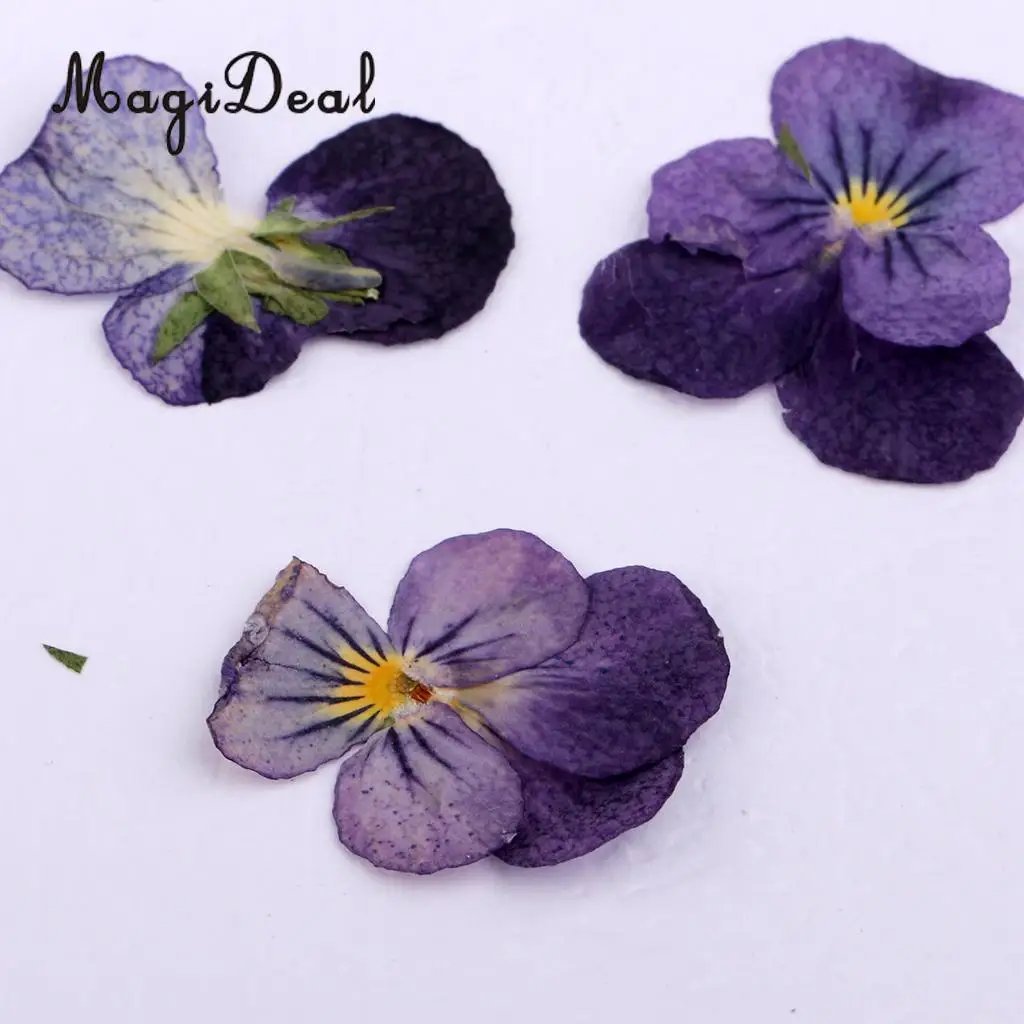 22pc Assorted Dried Pressed Flowers Real Violet & Sage Plant Herbarium For Scrapbooking Card Making DIY Jewelry Phone Case Craft