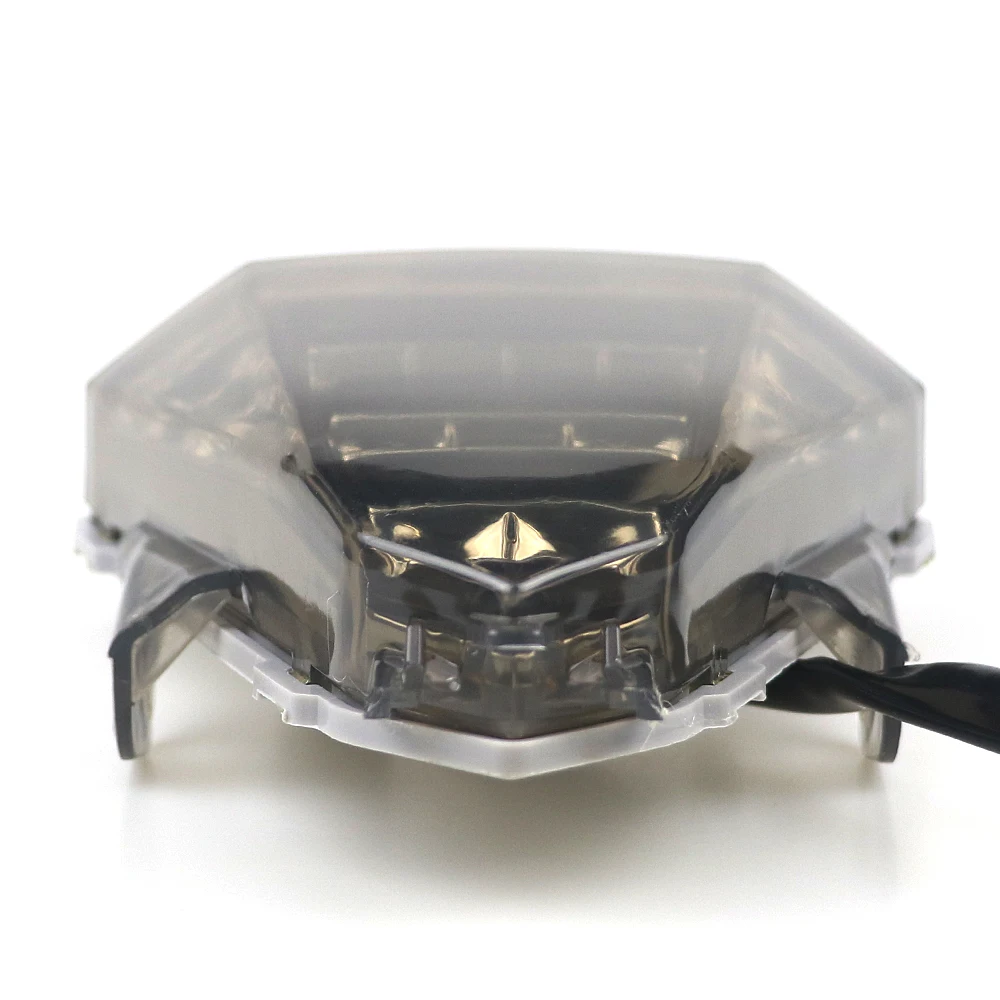r15 tail light (6)