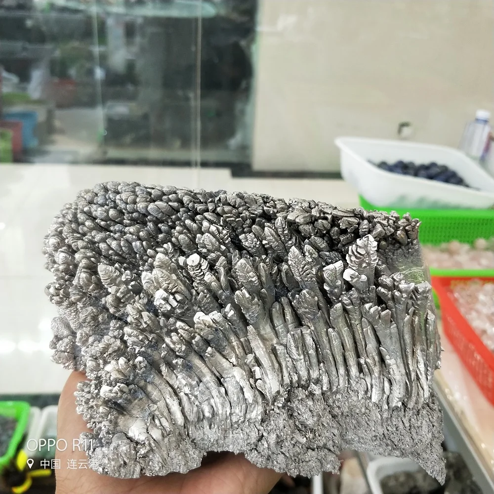 IMG20180825143513