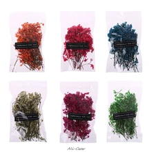 1 пакет настоящий прессованный высушенный цветок цветочные растения украшения для поделок Скрапбукинг открыток художественное ремесло украшение