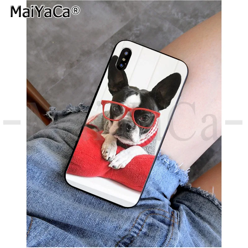 MaiYaCa животное Бостонский терьер собака узор ТПУ Мягкие аксессуары для телефонов чехол для телефона для iPhone 8 7 6 6S Plus X XS MAX 5 5S SE XR - Цвет: 4
