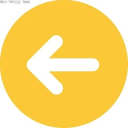 Perfect HARLEY DAMSON Vintage Brown American Biker