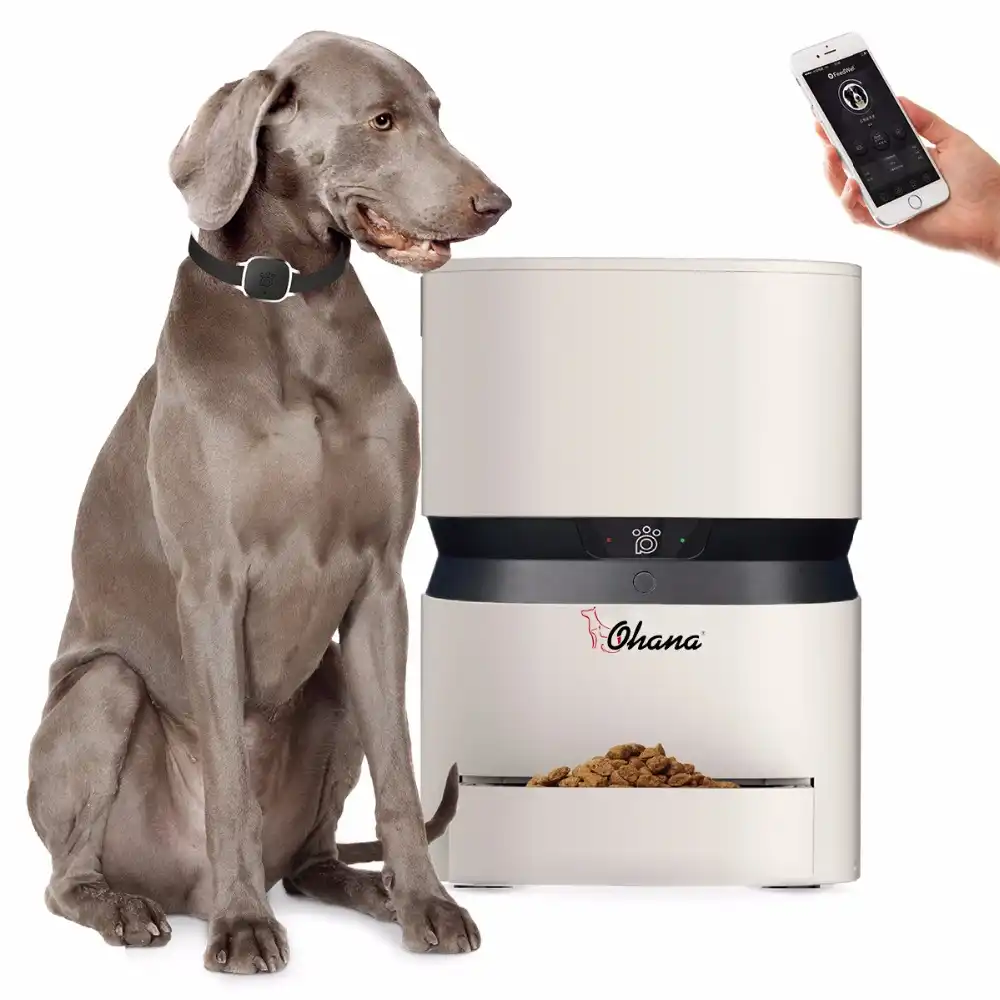 8l Automatic Pet Feeder Usb Charge Capacity Smart Keep Puppy Dog