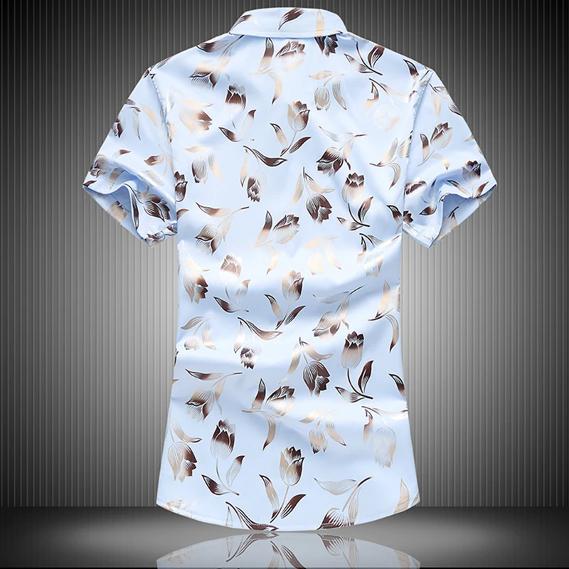 TB2EVcsaKuSBuNjSsplXXbe8pXa_!!2635068443