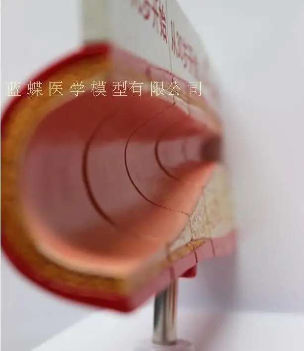 QQ20180812191332