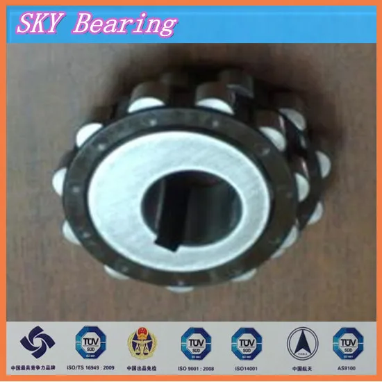 

HI overall eccentric bearing 250752908K