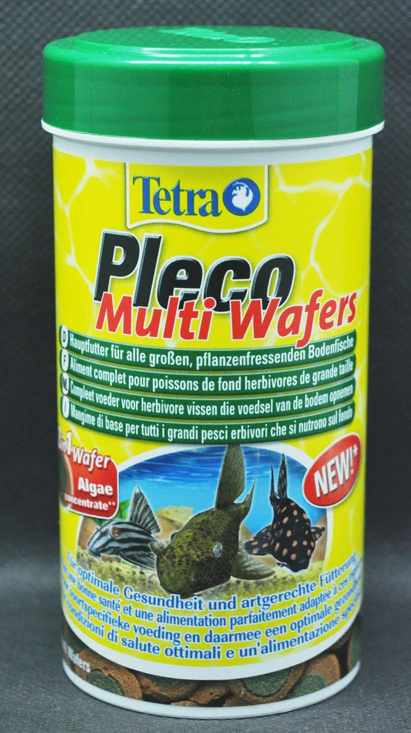 Tetra Pleco множество мокасин всасывающий морской сома бентическая рыба с небольшим