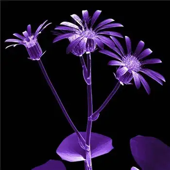 

Colorful flowers frameless print Classic canvas printings Romantic Three picture Combination Spray Painting TC5005 -34103-JBO