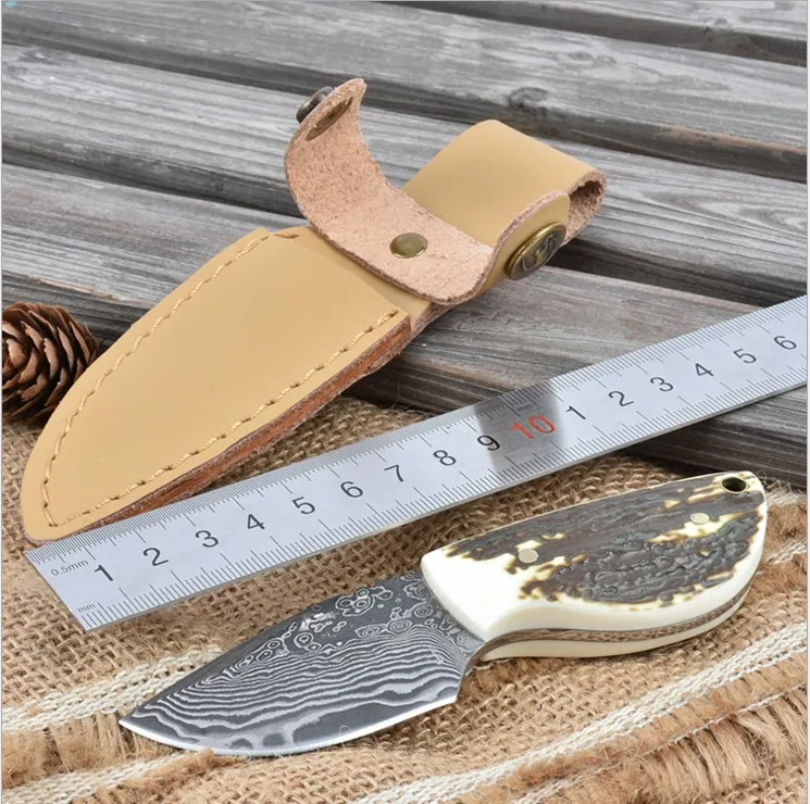 Damascus Steel Blade Antlers Handle Tea Knife Fixed Knife With Leather Sheath Survival Tactical Camping Knives Outdoor Tools BK3 stainless steel fixed blade knife fruit knife outdoor survival knife pocket tools edc knives nylon sheath