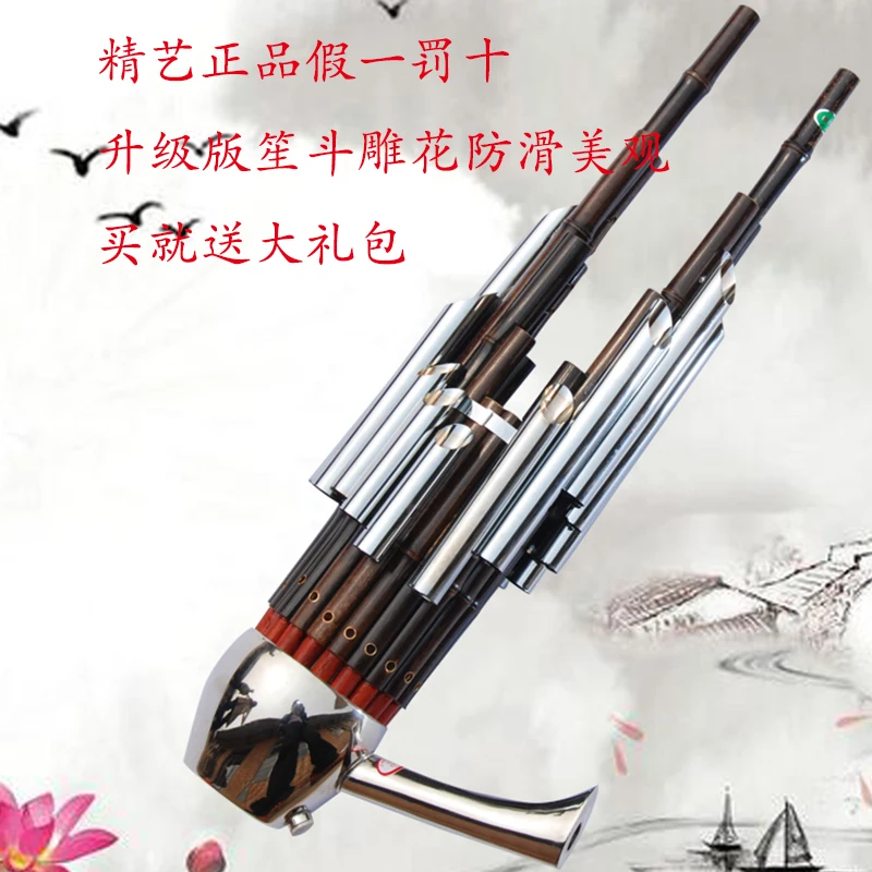 Sheng музыкальный инструмент 17 Весна Pa Sheng Cdefg Abstemious Eb сумка духовой инструмент Jingyi