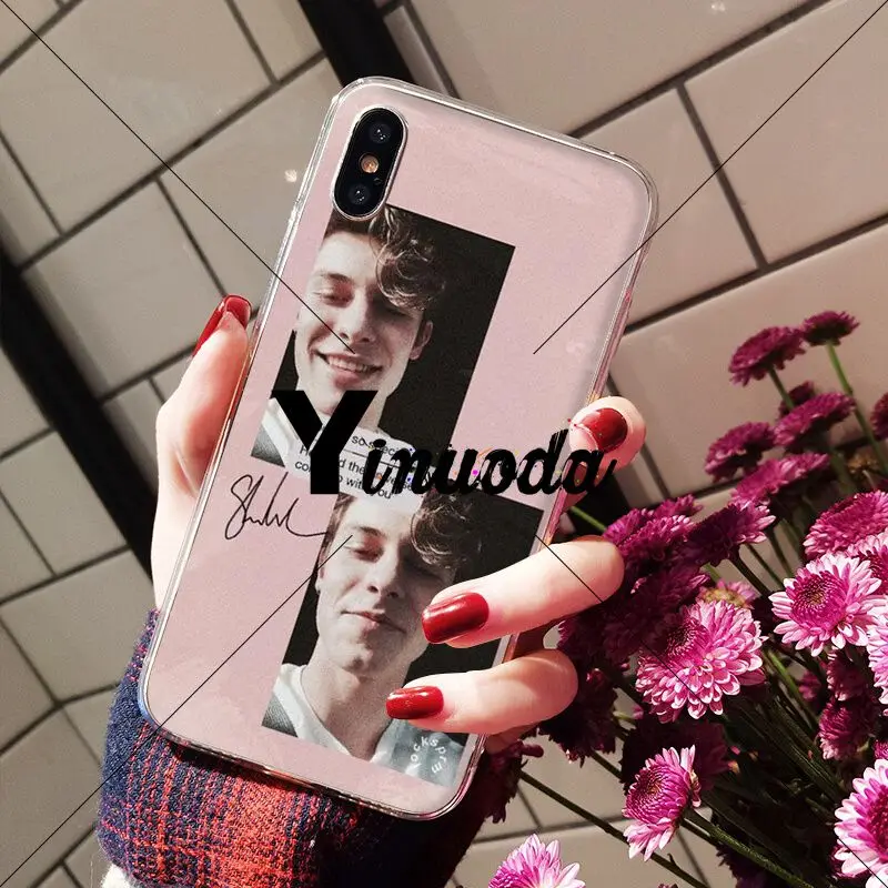 Hit pop singer Shawn Mendes love
