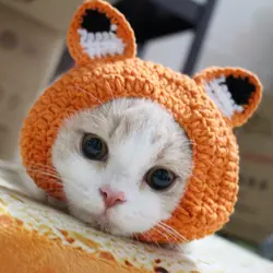 [МПК магазин] шапка Cat с соблазнительными кошачьими ушками, хип-хоп, костюм с изображением котенка, 2 размера в наличии