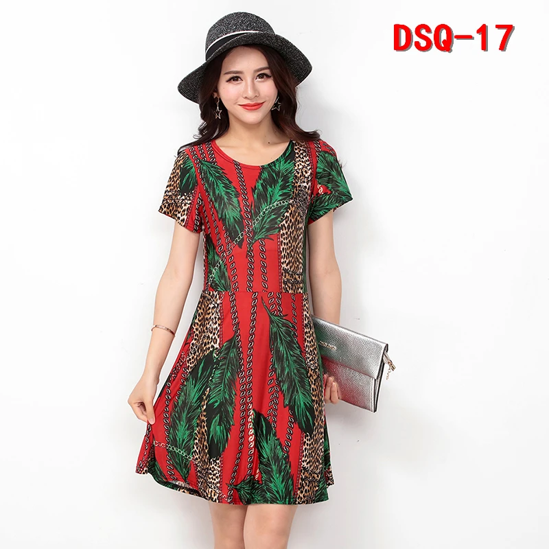 DSQ-17 (6)