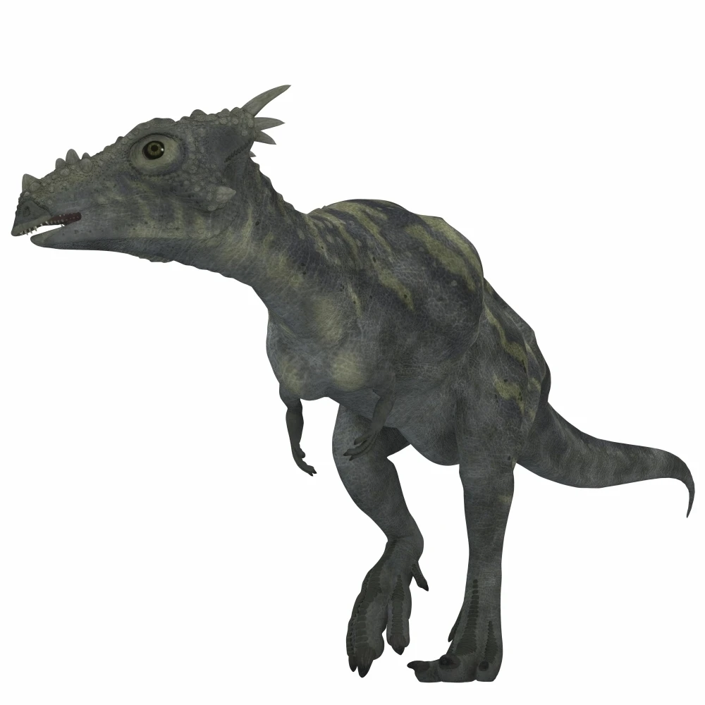 Dracorex dinosaur Poster Print (28 x 28)