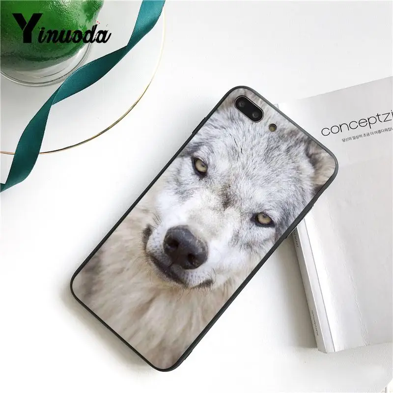 Cool Wolf (2)