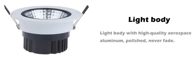 LED COB Ceiling Light-6