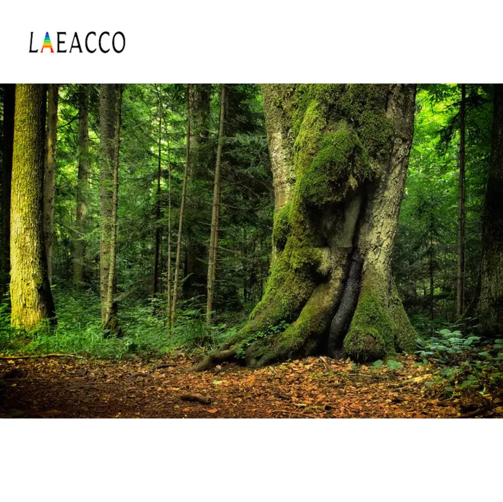 Laeacco тропический дождь лес зеленый мох трава портрет фото фоны Индивидуальные фотографии фонов для фотостудии