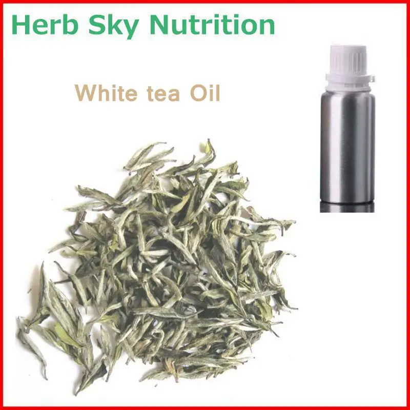 100 Natural&Pure White tea Oil with free shipping, eliminating toxins