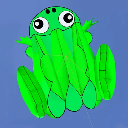 

Воздушный змей из мягкой ткани с одной линией, 3d-картонная лягушка для детей, детские уличные игрушки, для пляжного парка, игры с линиями 30 м и ручкой