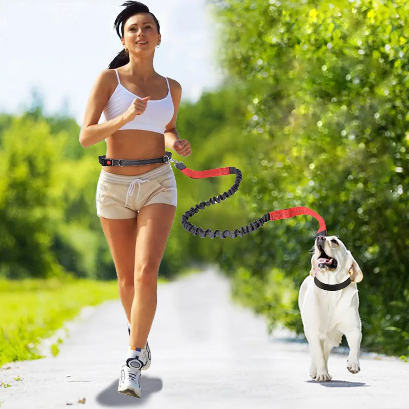 HAND FREE adjustable Reflective waist pet dog Elastic leash running